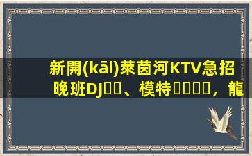 新開(kāi)萊茵河KTV急招晚班DJ、模特，龍姐在杭州帶你上班